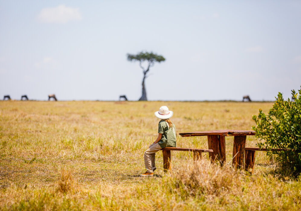 Journeys for Unmissable Moments